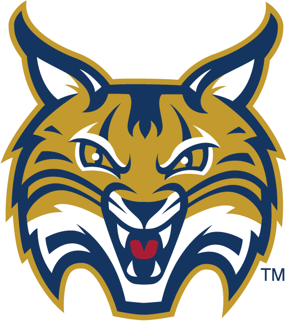 Quinnipiac Bobcats 2002-Pres Secondary Logo DIY iron on transfer (heat transfer)